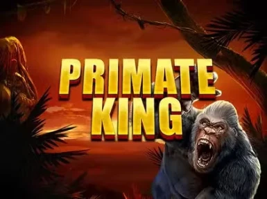 Irwin Casino screenshot